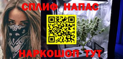 сатива Коммунар