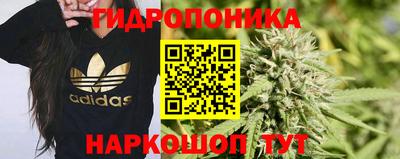 сатива Коммунар
